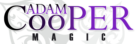 APC Magic Logo